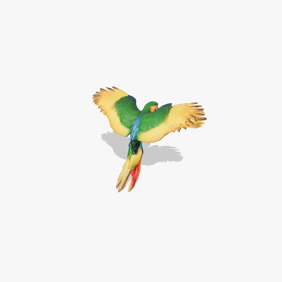 Colorful Parrot model pack